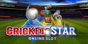 Cricket video slot